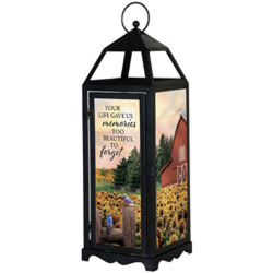 Panoramic Lanterns from Philips' Flower & Gift Shop